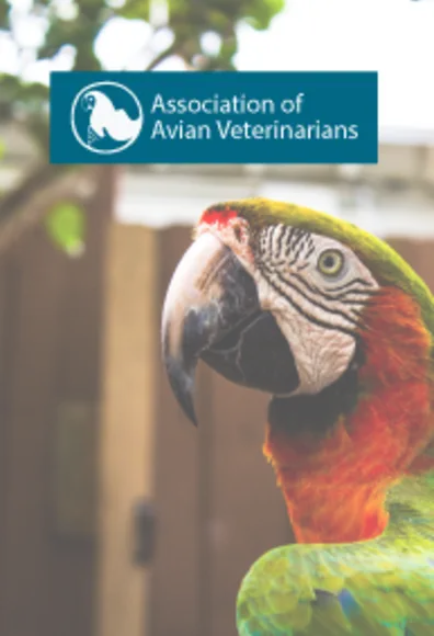 Association of avian veterinarians